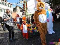 Umzuch Kaub 2o25 © kalbacho-foto  Kauber Fassenachtsumzuch mit Abschluss uffm Zollplatz